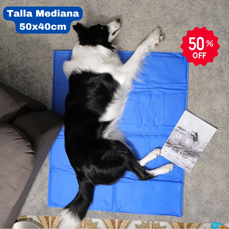 PET COOL MAT® - 🧊 🐶 Manta Refrigerante Para Mascota(50x40cm) ❄️🐾