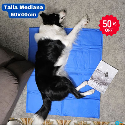 PET COOL MAT® - 🧊 🐶 Manta Refrigerante Para Mascota(50x40cm) ❄️🐾