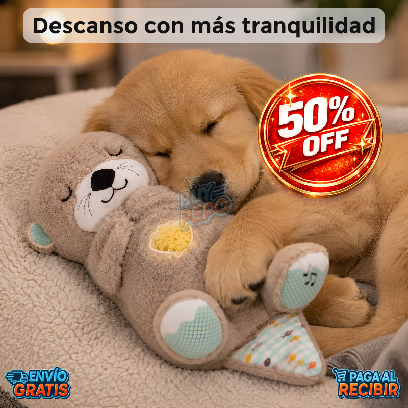 CalmiNut™ 🦦💙 - Nutria calmante para perros 🐶