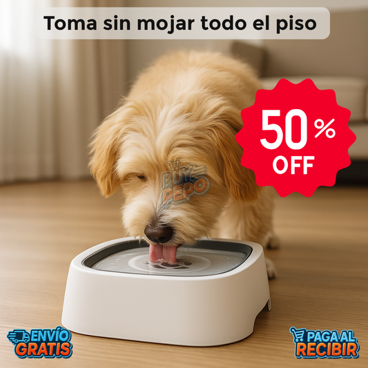 AquaPaws™ 💧 - Bowl antisplash mascotas 🐾