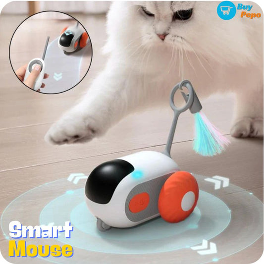 Raton juguete para Gatos - SMART MOUSE™