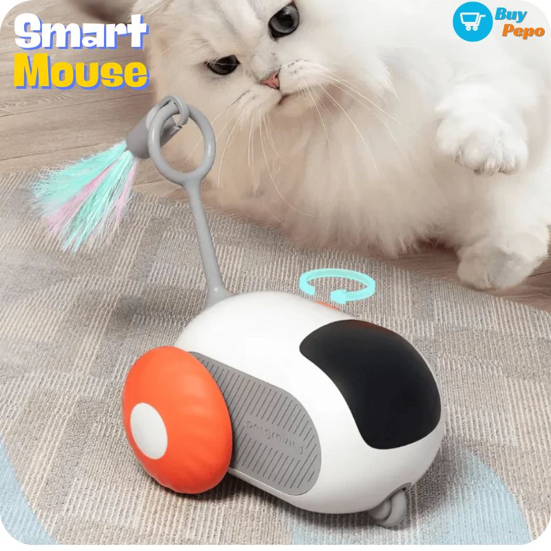 Raton juguete para Gatos - SMART MOUSE™
