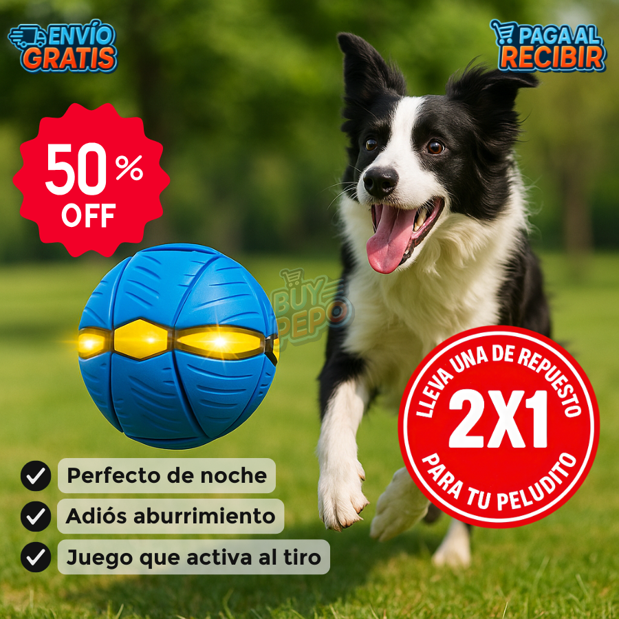 FlyMorph™ 🔵 - Juguete disco mágico 🌟