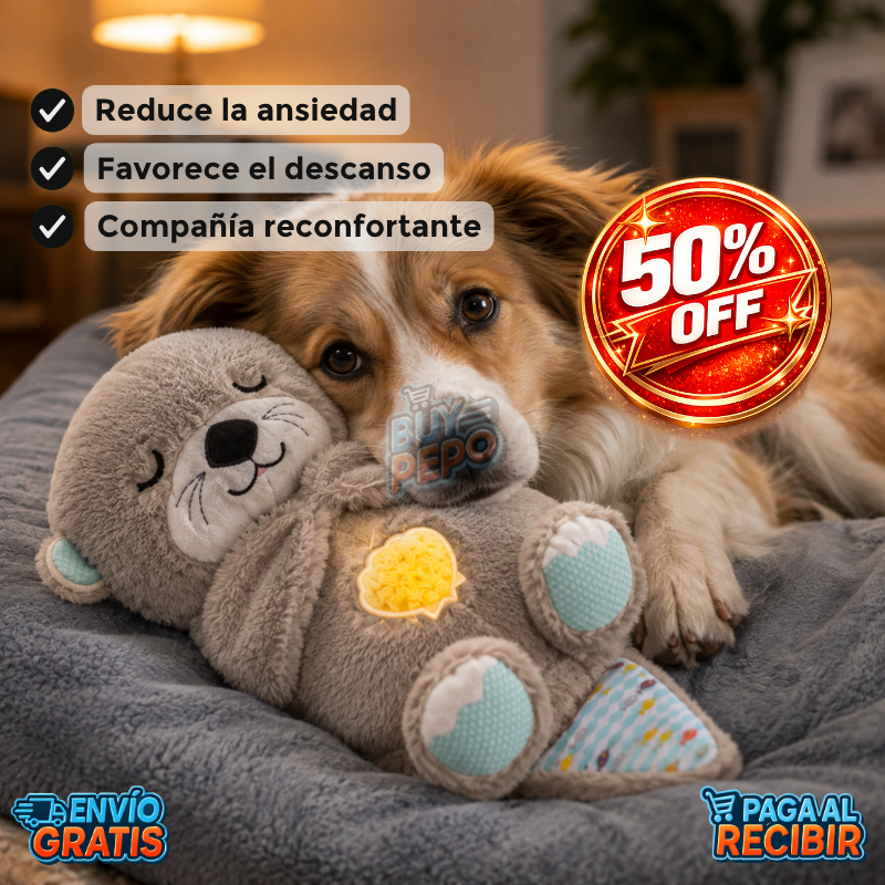 CalmiNut™ 🦦💙 - Nutria calmante para perros 🐶