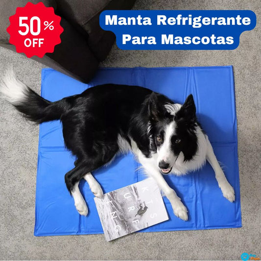 PET COOL MAT® - 🧊 🐶 Manta Refrigerante Para Mascota(50x40cm) ❄️🐾