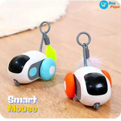 Raton juguete para Gatos - SMART MOUSE™
