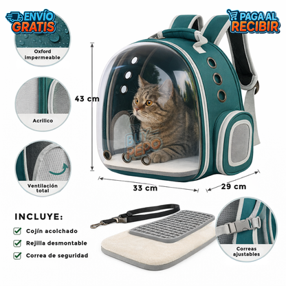PetVista™ 🐾 - Mochila transporte mascotas 🎒