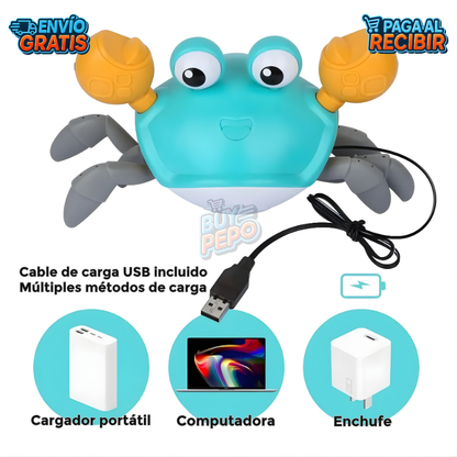 WalkCrab™ 🦀 - Cangrejo caminador infantil 🚶‍♂️