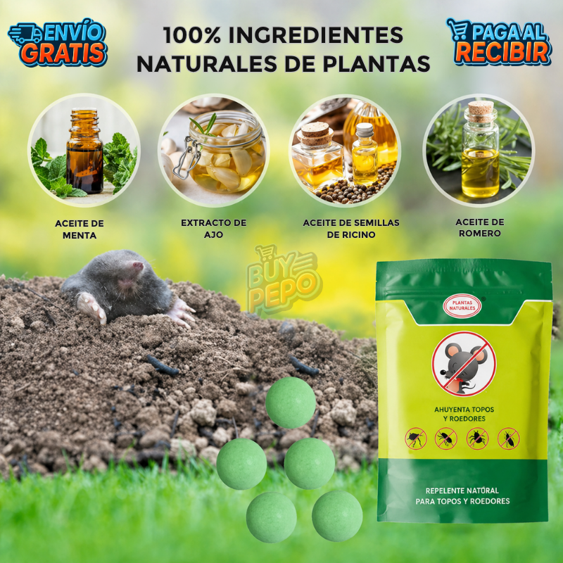 MintGuard™ 🌿 - Pack 10 Bolas repelente roedores 🐭