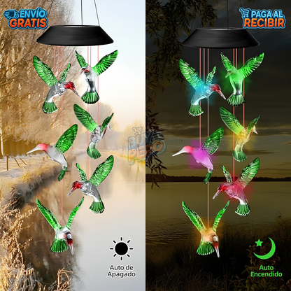ColibriGlow™ 🐦 - Colgante solar decorativo ✨