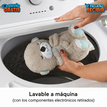 CalmiNut™ 🦦💙 - Nutria calmante para perros 🐶