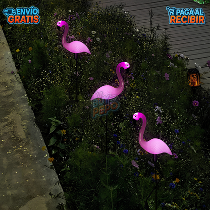 FlamingoGlow™ 🦩 - Pack 3 Lámpara solar LED de flamenco ☀️