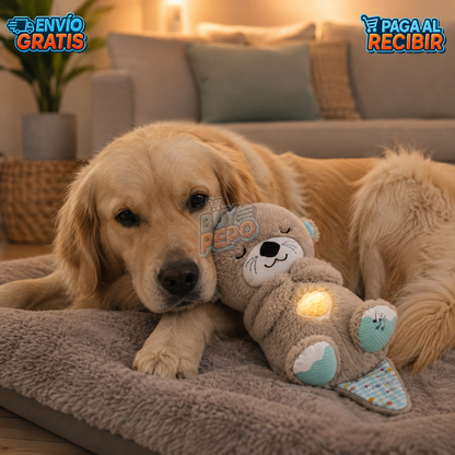 CalmiNut™ 🦦💙 - Nutria calmante para perros 🐶