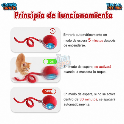 PlayBall™ 🐾 - Pelota inteligente con cuerda 🐶
