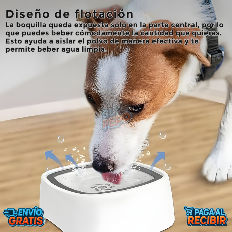 AquaPaws™ 💧 - Bowl antisplash mascotas 🐾