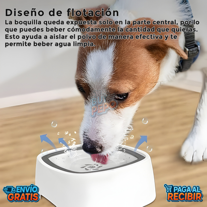 AquaPaws™ 💧 - Bowl antisplash mascotas 🐾