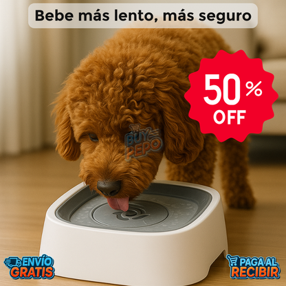 AquaPaws™ 💧 - Bowl antisplash mascotas 🐾