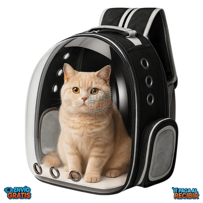 PetView™ 🐾 - Mochila transparente para mascotas 🎒