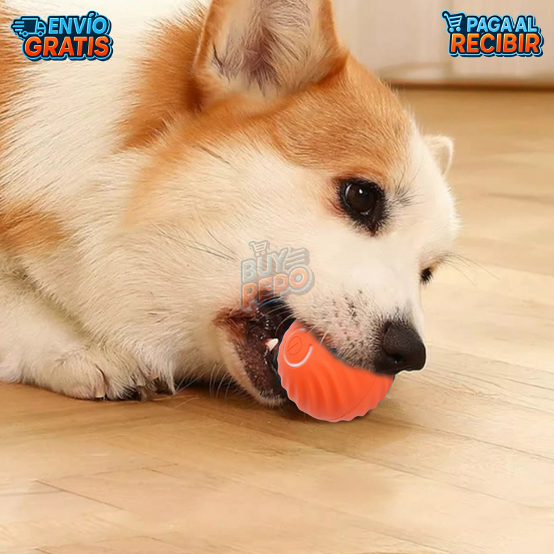 PawRoll™ 🐾 - Pelota inteligente para mascotas 🎾