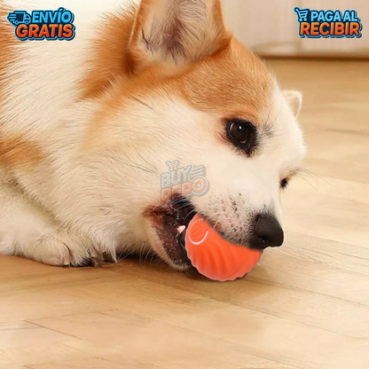 PawRoll™ 🐾 - Pelota inteligente para mascotas 🎾