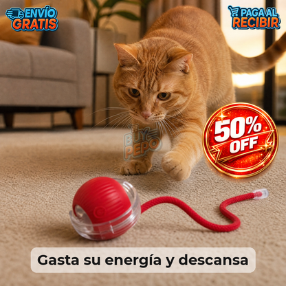 PlayRoll™ 🐾 - Pelota interactiva para mascotas 🎾